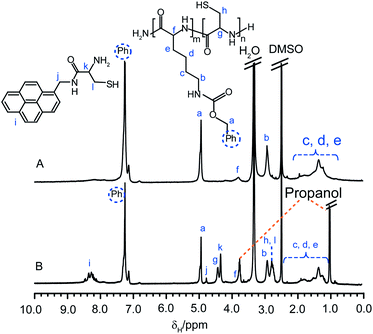 
            
              1H NMR spectra (d6-DMSO) of CCS polymer2aAMP (A) before and (B) after cleavage with DTT and their assigned structures.