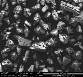 
          SEM image for a PEO/NiPS3 nanocomposite (sample R0.5V10).