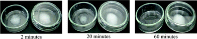 Layers of ∼1 mm thickness of ChCl : LA (1 : 1). In both glass Petri dishes the same amount of DES was added, and then one was closed. After 2 min, the first liquid drops appeared in the open sample. Within 60 min the solid was already completely liquid.