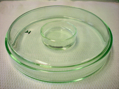 Closed system for the gravimetric determination of the water absorption. The surface exposed to the air was 804 mm2 (diameter of the glass Petri dish 32 mm).