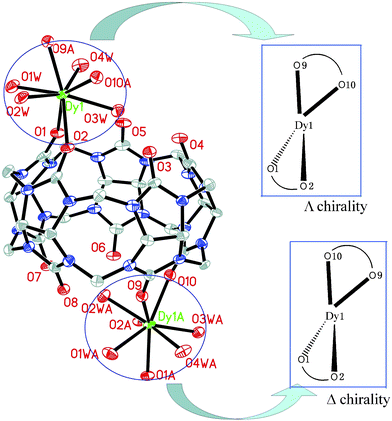 ORTEP diagram of compound 1 and illustration of the chiral environment around Dy1. The neighboring {Q[5]Dy(H2O)4Q[5]}3+ cations have different helical chirality. Displacement ellipsoids are drawn at the 30% probability level. H atoms, solvate water molecules and anions are omitted for clarity.