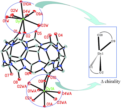 ORTEP diagram of compound 2a and illustration of the chiral environment around Dy1. The neighboring {Q[5]Dy(H2O)4Q[5]}3+ cations have same helical chirality. Displacement ellipsoids are drawn at the 30% probability level. H atoms, solvate water molecules and anions are omitted for clarity.