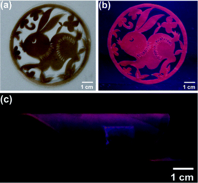 Photos of the nanocomposite films with rabbit-shape under visible light (a) and UV light (b), (c) rolled under UV light.