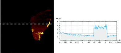AFM image of TPE–C4N3–G–In, scan size:2 μm×2 μm.