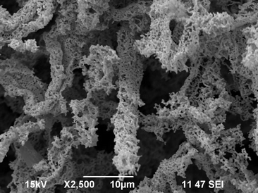 SEM image of microwave-ignited Pd coated carbon fibers.