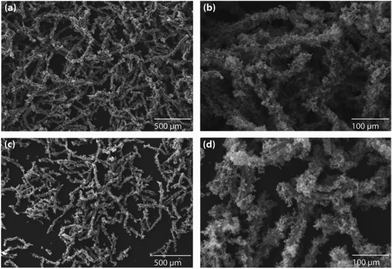 The decoration of (a and b) Pd and (c and d) Pt nanoparticles on polypyrrole-coated cellulose fibers, prepared using a medium concentration of pyrrole (1.441 M).