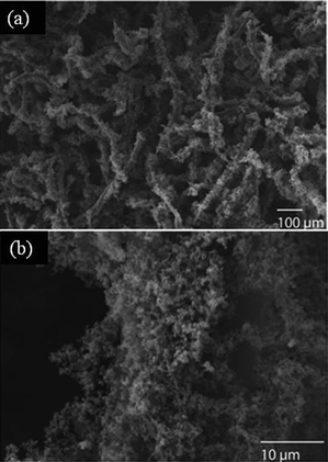The decoration of (a and b) Au nanoparticles on polypyrrole-coated cellulose fibers, prepared using a high concentration of pyrrole (2.882 M).