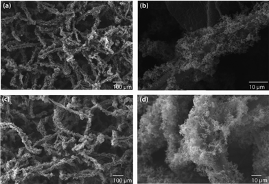 The decoration of (a and b) Pd and (c and d) Pt nanoparticles on polypyrrole-coated cellulose fibers, prepared using a high concentration of pyrrole (2.882 M).