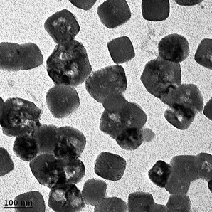 TEM image of autocatalytic-reduced Pd nanoparticles on polypyrrole (1.441 M)-coated cellulose fibers.