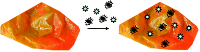 Schematic representation of pollutant extraction using tomato peel. Different dots indicate different classes of pollutants in water.