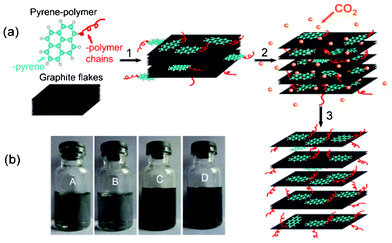 (a) Schematic illustration of the preparation process of pyrene-polymers functionalized grapheme sheets based on SC CO2's assistance (from step 1 to step 3). (b) Photographs of pyrene-PEG2K functionalized graphene aqueous dispersion (A), pyrene-PEG5K functionalized graphene aqueous dispersion (B), pyrene-PCL19 functionalized graphene dimethylsulfoxide (DMSO) dispersion (C), pyrene-PCL48 functionalized graphene DMSO dispersion (D).