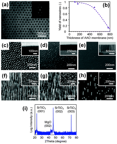 Effect of AAO membrane thickness on the growth of VLS nanowires. (a) FESEM image of AAO membrane mask with the pitch of 63 nm and the pore size of 20 nm. The inset shows an FFT image. (b) Relationship between the nanowire yield and the thickness of AAO membrane. (c–e) FESEM images of Au dot patterned by AAO membranes with the thicknesses of (c) 170 nm, (d) 500 nm and (e) 700 nm. Insets show the cross-sectional images of AAO membranes. (f–h) FESEM images of MgO nanowires grown on AAO membranes with the thickness of (f) 170 nm, (g) 500 nm and (h) 700 nm. Insets show top-view images. (i) Typical XRD data of patterned MgO nanowires.
