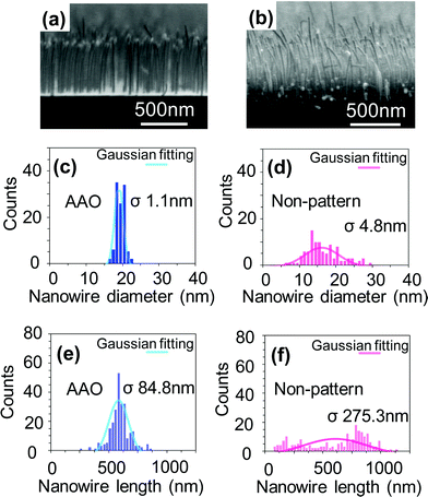 Comparison between AAO membrane method and non-patterned catalysts on the structural distributions of the diameter and the length. (a,b) FESEM images of MgO nanowires grown from (a) patterned catalysts by AAO membrane and (b) non-patterned catalysts. SrTiO3(100) substrate was used for the nanowire fabrications. The structural distribution analysis data in (c,d) the diameter and (e,f) the length of MgO nanowires for both patterned and non-patterned samples.