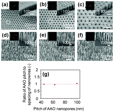 Controllability of spacing in AAO membrane method. FESEM images of (a–c) AAO membrane and (d–f) MgO nanowires grown on SrTiO3 substrate. The pitches of nanopore arrays are (a,d) 45 nm, (b,e) 63 nm and (c,f) 100 nm. Insets show FFT images projected by the FESEM images, and FESEM images at near-edge of AAO membrane. (g) Ratio of the pitch of AAO membrane and the spacing of fabricated MgO nanowire array.