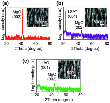 Feasibility of AAO membrane method for various substrates. (a–c) XRD scan data of MgO nanowire arrays patterned on various substrates. (a) Data of MgO substrate, (b) data of LSAT substrate, (c) data of LAO substrate. Insets show the titled FESEM images.