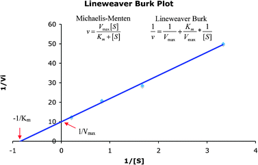 Lineweaver–Burk plot of the reciprocal of the initial reaction rate versus reciprocal of initial substrate concentration.