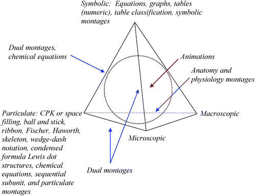 The Biochemistry Tetrahedron with the TOBER mapped on it. The blue arrows indicate ERs lying on an edge. Schematics may lie on the edges or in the interior volume of the tetrahedron. Animations lie in the interior as represented by the red arrow.