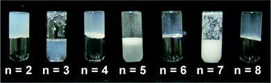 Alternation of gel (even n) and sol (odd n) formation in CHCl3 by compounds 1(n = 2–8). All vials are at 1% by weight in 2 ml of solvent.