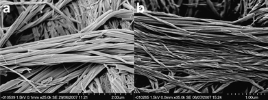 Helical fibres found within gels of compound 2. (a) 0.1% by weight CHCl3 gel and (b) 0.06% by weight MeCN gel. The helicity is in an opposite sense in the two samples suggesting that the direction of twist is not determined by the absolute configuration of 2.