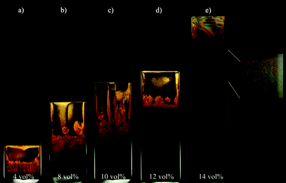 Aqueous gibbsite suspensions observed between crossed polarisers. Pictures were taken one year after the sample preparation. Concentrations of gibbsite are listed at the lower end of the picture. All samples show the I/N/C phase coexistence. Inset of (e) shows an example of the Bragg reflections in white light illumination indicating the presence of the columnar phase.