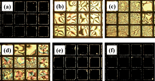 The optical micrographs of the TEM grid cells with the PAA-b-LCP monolayer on the 5CB observed under a polarized optical microscope with a cross-polar state after injecting human urine into the TEM grid cell; the TEM grid cell was made at pH = 12 and SP = 30 mN m−1 with the addition of 1 M NaCl; (a) initial state without injecting human urine; (b–e) urine samples from a patient having albuminuria at different concentrations; (f) normal urine sample; the urine samples were diluted with distilled water (b) ×10 (0.1396 mg mL−1), (c) ×20 (0.0698 mg mL−1), (d) ×40 (0.0349 mg mL−1), (e) ×80 (0.0174 mg mL−1), and (f) ×10 for change of pH to 12; a urine sample from a patient having albuminuria (supplied from Kyungpook National University Hospital) contained 1.396 mg mL−1proteins and a normal urine sample was obtained from a person without albuminuria.