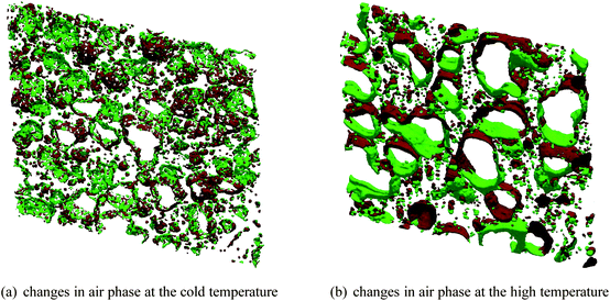 Changes in the air phase between subsequent scans, derived from the images shown in Fig. 8. Voxels marked green represent appearing air phase and voxels marked red represent disappearing air phase. (a) For low temperatures, the bubbles remain mostly stable, which is reflected by the little changes occur during the 4 h between the scans. (b) At high temperature, there are significant changes, the growth/ablation pattern results from both moving bubbles and deforming bubbles.