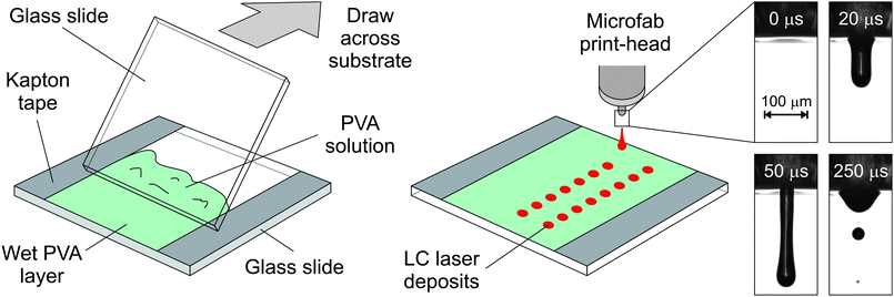 Schematic of the jetting and deposition process used in the work showing (left) creation of the wet polymer (PVA) solution, deposition of lasing LC media (middle) and (right) dynamics of the inkjet droplet formation from the printhead.