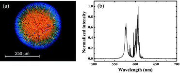 Results from inkjet deposition on to a cleaned, untreated glass substrate: (a) the deposited drop profile, between crossed polarizers, showing considerable non-uniformity; (b) the multimode emission spectrum under optical excitation at a wavelength of 532 nm.
