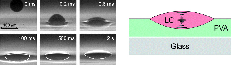 High-speed camera images of the droplet impact process (left) and pictorial representation of the sample cross-section (right) with the chiral LC in the Grandjean, or standing helix, alignment.