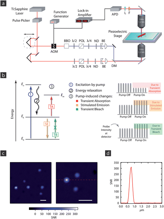 apd = avalanche photodiode; aom = acousto-optic modulator; be =