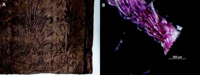 Red cotton panel from the Società Anonima Fortuny production, AIC accession number 1987.375.2; (A) detail of the panel and (B) microphotography of the fiber bundle sampled for SERS analysis.