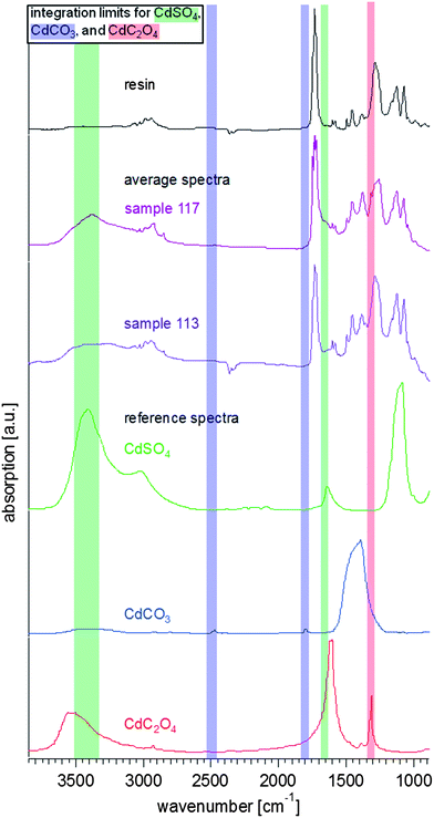 Reference and average FTIR spectra from the measured samples. The average spectra (extracted from multiple pixels of the hyperspectral data sets for each sample) show the resin (taken from the resin surrounding S113, black), and the results from S113 (purple) and S117 (violet). The reference spectra of cadmium sulphate (CdSO4·nH2O, Sigma-Aldrich, in green), cadmium carbonate (CdCO3, in blue) (Sigma-Aldrich), and cadmium oxalate (CdC2O4, in red)36 are stacked in the lower half of the graph. The integration limits for the chemical images in Fig. 5–8 are also highlighted in the same colour code.