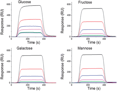 SPR kinetic measurements showing the binding of d-glucose, d-galactose, d-fructose and d-mannose to 1 : 1 bis-BA : TEGT SAMs using different saccharides concentrations (0.6 mM, 1.25 mM, 2.5 mM, 5 mM, 10 mM and 20 mM).