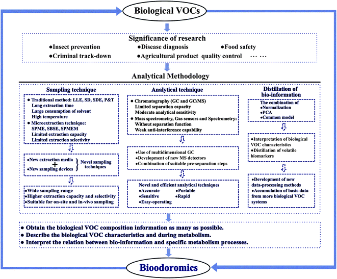 Schematic and critical diagram summarizing the research framework from biological VOCs to bioodoromics.