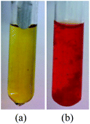 Preliminary NQS colour testing performed in test tubes for reagent blank (a) and BZP HCl sample solution (b).
