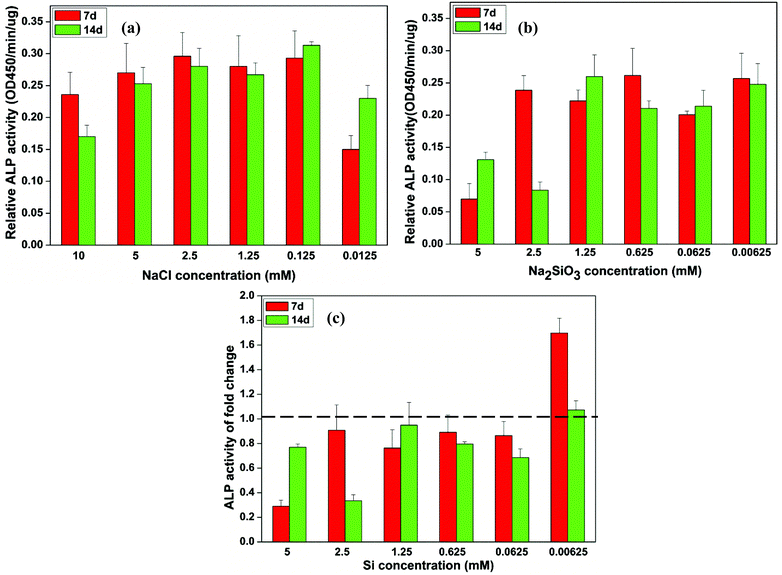 The relative ALP activity of BMSCs observed in culture with different concentrations of NaCl (a) and Na2SiO3 (b) and the independent Si effect shown by the fold change of ALP activity between the treatment groups of NaCl and Na2SiO3 (c). At days 7 and 14, a concentration of Si ions of 0.00625 mM significantly increased the ALP activity of BMSCs (∼1.7 and 1.1 fold change, respectively); in contrast, ALP activity of BMSCs decreased at other concentrations of Si (fold change < 1) (c). The dotted line indicates a fold change of ALP activity of 1 between NaCl and Na2SiO3 groups.