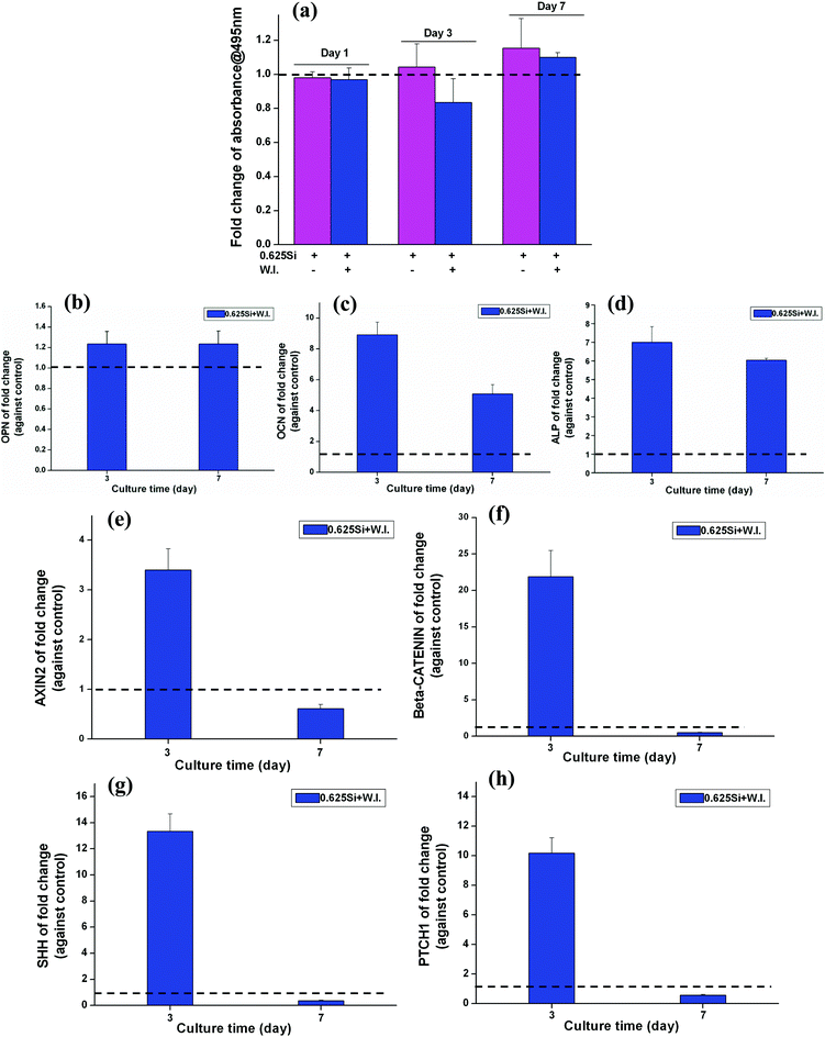 The effect of Si ions on cell proliferation (a), osteogenic genes (b–d) and WNT, SHH-related genes expression (e–h) of BMSCs in the presence of cardamonin (W.I.) at a concentration of 10 μM. At day 7, Si ions at a concentration of 0.625 mM stimulated the proliferation of BMSCs cultured with the W.I. at a concentration of 10 μM (a). At both day 3 and 7, Si ions at a concentration of 0.625 mM enhanced the gene expression of OPN, OCN and ALP (b–d), AXIN2, CTNNB (e, f), SHH and PTCH1 (g, h) with W.I. at a concentration of 10 μM (fold change > 1). The dotted line shows a fold change of 1 between the NaCl and Na2SiO3 groups.