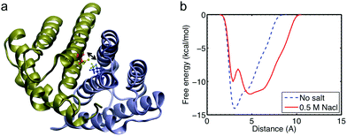 The salt bridge pair SB1 Lys65(m1)–Asp40(m2), analysis with more detail. Panel a: visualization of the N-terminal domain with pertaining residues in more detail. The biased variable is the distance between NH3 of Lys65 and COO of Asp40 that is depicted in green. Panel b: free energy profile of the distance between Lys65(monomer 1) and Asp40(monomer 2) with and without sodium chloride.
