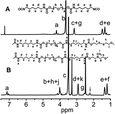 (A) 1H NMR spectrum of PEG-diisocyanate (Mw = 1000) in CDCl3. (B) 1H NMR spectrum of the segmented poly(ether urethane) SPU2 in DMSO-d6.