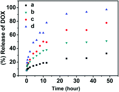 
            In vitro release of doxorubicin from the SPU2 nanoparticles under different conditions: (a) 37 °C, pH = 7.4; (b) 37 °C, pH = 6.0; (c) 37 °C, pH = 7.4, 10 mM GSH; (d) 37 °C, pH = 6.0, 10 mM GSH.