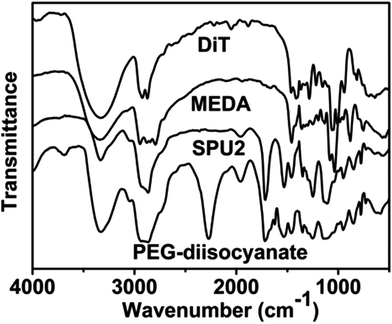 FTIR spectra of MDEA, DiT, PEG-diisocyanate (Mw = 1000) and the segmented poly(ether urethane) SPU2.