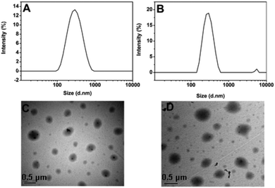 (A) and (C) DLS and TEM images of blank SPU2 nanoparticles. (B) and (D) DLS and TEM images of DOX-loaded SPU2 nanoparticles.