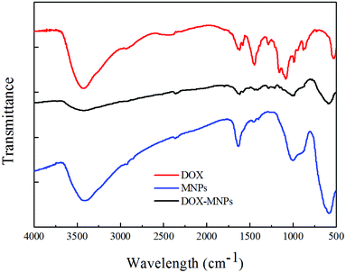 FTIR spectra of DOX, HMNPs and DOX–HMNPs.