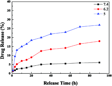 The pH-dependent release of DOX from DOX–HMNPs. The DOX–HMNPs were cultured in PBS at pH 7.4, 6.2 or 5 at 37 °C. At each pH, the concentration of DOX was detected by UV-vis absorption spectroscopy.