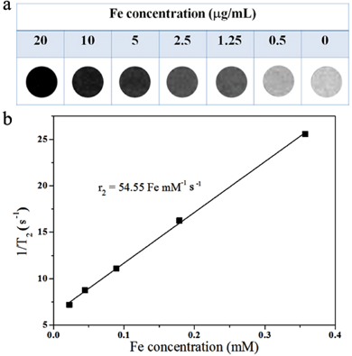 (a) T2-weighted MR imaging of Fe3O4@C nanocapsules suspended in water at different Fe concentrations; (b) a plot of the T2 relaxation rate R2(1/T2) against the Fe concentration of Fe3O4@C nanocapsules.