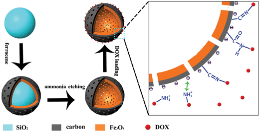 A schematic diagram of the preparation and drug loading of the porous hollow Fe3O4@C nanocapsules. Firstly, the SiO2 nanospheres were coated with a Fe3O4@C shell through the decomposition of ferrocene and then the SiO2 was etched by ammonia under hydrothermal conditions. The loading of DOX on to the HMNPs can be realized through the electrostatic interactions of the carbon shell and chemical interactions.