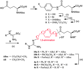 Design and synthesis of aminobenzyl linked γ-glutamyl NO-donor pro-drugs of NHG: (i) 4-aminobenzylalcohol, EEDQ, DCM, rt, 12 h, 85%; (ii) PBr3, THF, 0 °C, 2 h, 87%; (iii) BocNHOH, NaH, THF, 0 °C, 4 h, 83%; (iv) CF3CO2H, DCM, 92%; (v) 9a R = Ph or 9b R = PhCH2CH2 or 9c R = furfuryl, Et3N, DMAP, DCM, 38–53%; (vi) [Pd(PPh3)4], PhSiH3, DCM, 37–89%.