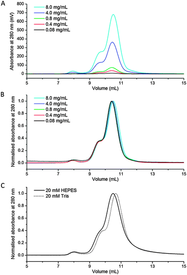 (A) SEC of CS2 hydrolase at 8.0 mg mL−1, 4.0 mg mL−1, 0.8 mg mL−1, 0.4 mg mL−1 and 0.08 mg mL−1; (B) normalised chromatograms; (C) normalised chromatograms in HEPES and Tris buffer.
