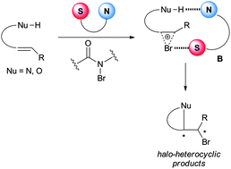 Proposed mechanism of the amino-thiocarbamate catalyzed enantioselective bromocyclization.