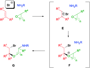 Proposed mechanism of NBS initiated aminoalkoxylation of olefins.